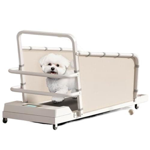 犬用トレッドミルの音｜集合住宅での使用可否を解説【2026年版】