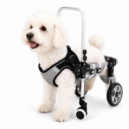 犬用車椅子はレンタルか購入か｜費用比較と選び方【2026年版】