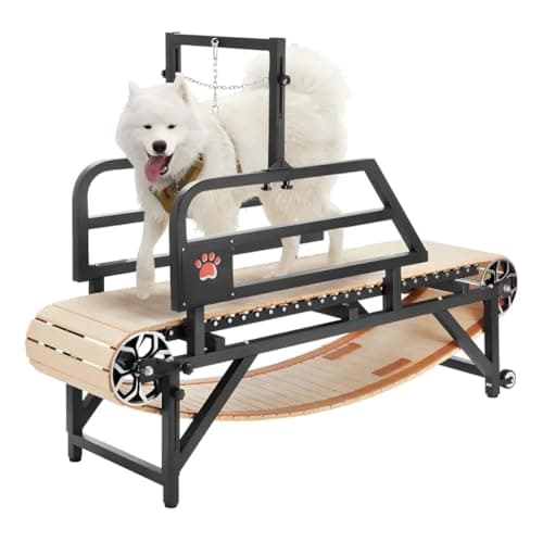 犬用トレッドミル 大型犬向け｜耐荷重100kg以上5選【2026年版】
