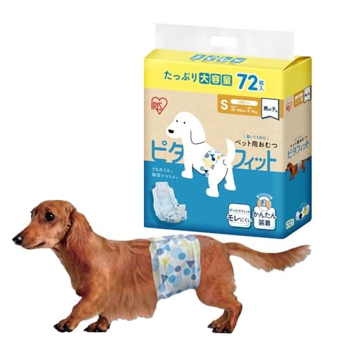 犬用おむつのサイズの選び方｜漏れを防ぐ採寸のコツ【2026年版】