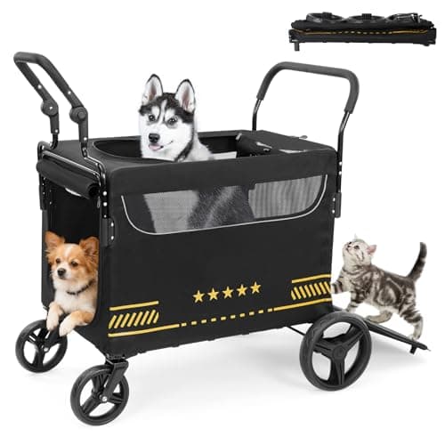 犬の年齢別 設備ロードマップ｜成犬期からシニア期まで【2026年版】