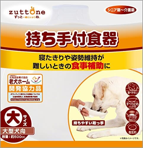 老犬の食事サポートグッズ｜傾斜食器とシリンジの選び方【2026年版】