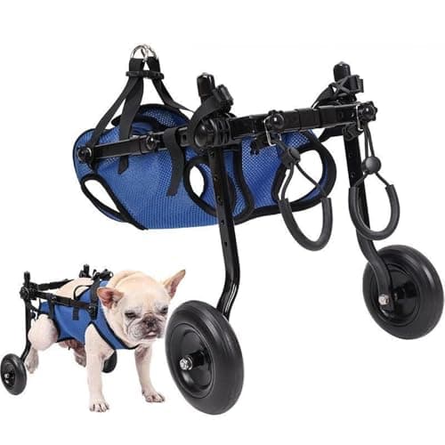 犬用車椅子 選び方|体重・胴回り・後脚の状態で判断【2026年版】